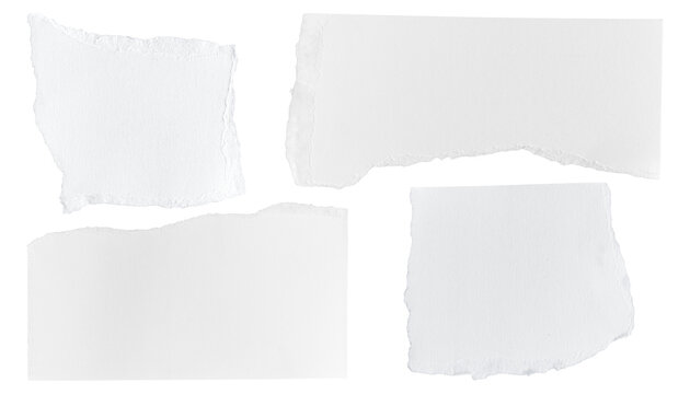 Set of White ripped piece of paper isolated on transparent background PNG file
