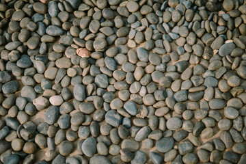 Natural river stones with smooth textures and varied shapes,