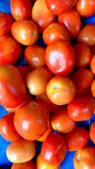 Close-Up of Fresh Red Tomatoes – Vibrant and Juicy Organic Vegetables