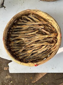Traditional Dried Bombay Duck Fish (Bombil) &ndash; A Popular Indian Delicacy