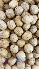 Premium Quality Walnut Kernels Background 