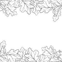 Oak leaf frame. Hand drawn oak leaf composition, vector illustration on white background