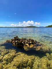 Transparent sea water with corals in Tinago Island. Philippines.