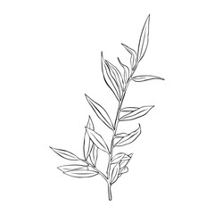 Leaves continuous line drawing. Abstract minimal botanical art. Vector illustration