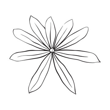recommend clip art: Lupine flower one line drawing. Minimalist art.