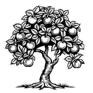 recommend clip art: Dwarf Apple Tree Vector Logo