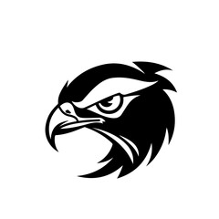 Obraz premium Eagle Eye Vector Logo