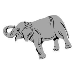 elephant cartoon isolated on white