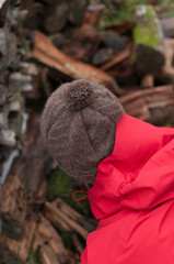 Person in Knitted Hat and Red Jacket Gathering Firewood Outdoors