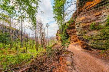 Naklejka premium Hiking to pravcicka Brana (Pravcicka Gate) in Bohemian Switzerland National Park. Biggest natural arch in Europe