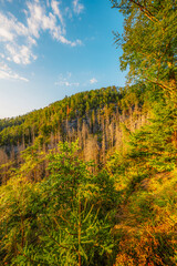 Sunset of rock castle Schauenstein, saunstejn from 14-th century, Bohemian Switzerland, Czech Republic