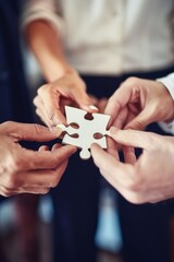 Joint Effort for Project Success: Business People in Unity