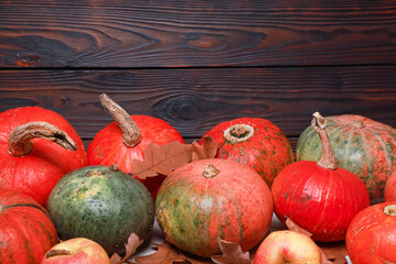 Heap of orange multicolored pumpkins at dark brown rustic wooden wall with copy space. Decor for Thanksgiving celebration, decoration for party, fresh whole ingredients, organic food
