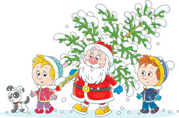 Santa Claus with happy little girl and boy carrying a snowy green fir from a winter forest to decorate it to Christmas, vector cartoon illustration on white