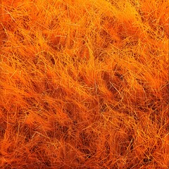 A vibrant, textured background of orange fibers resembling grass or synthetic material.