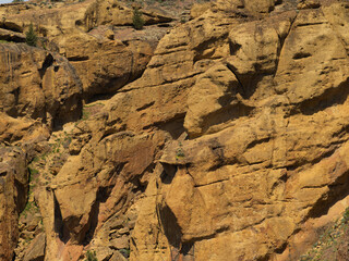A rocky mountain with a few trees in the foreground