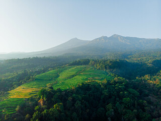 Aerial drone view of terraced paddy field scenery with Mount Rinjani background in Senaru, Lombok, Indonesia, Lombok, Indonesia.