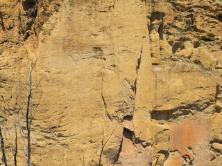A rocky cliff with a brownish color