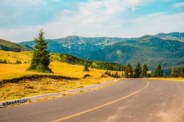 Romania Transalpina road with many serpentines crossing forest in  Carpathian mountains. Mountains forest trees with road in Parang mountains