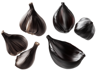 Single Black Garlic Bulb with Clove Detail Isolated on Clear Transparent Background for Food Design