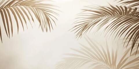 Palm Leaf Shadows on White Background	
