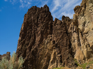 A rocky mountain with a tree in the foreground
