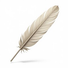 feather on white background