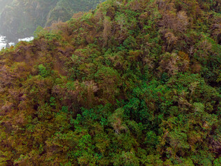 Aerial drone view of tropical thick forest scenery at Orong Bukal in Buwun Mas, Lombok, Indonesia.