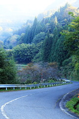 カーブが続く秋の日本の道路