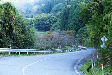 カーブが続く秋の日本の道路