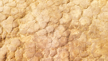 The ground has cracks in the top view for the background