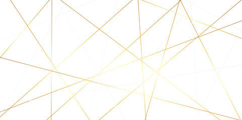 Obraz premium Abstract red and golden color line straight Vector in white background, geometric random chaotic line design with transparent background Vector Illustration. 