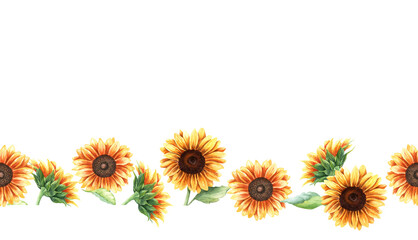 Fototapeta premium Horizontal seamless banner, border with yellow sunflowers blooms and leaves. Hand drawn watercolor illustration isolated on white background. For clip art cards label package wallpaper
