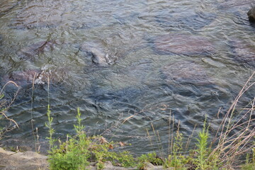 Gentle wave image of the clear water of Daecheongcheon