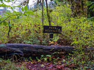 Autumn foliage surrounds the park boundary sign at Rainbow Falls State Park near Chehalis, Washington, USA