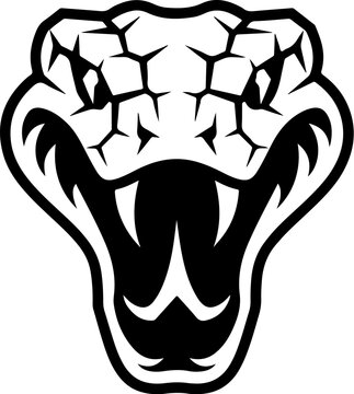 Illustration of head of poisonous snake in engraving style. Design element for logo, label, emblem, sign, badge. Vector illustration