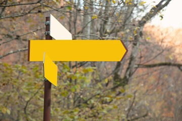 Blank signboard in the forest at autumn time.