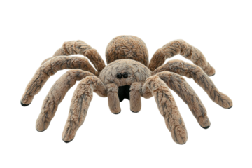 Soft plush spider toy isolated on transparent background for children.