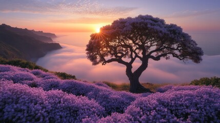 Vibrant Wildflowers Blooming in a Sunlit Meadow at Dawn, Capturing Nature's Morning Beauty