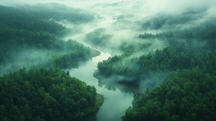 Obraz premium Aerial View of Winding River Through Lush Forest