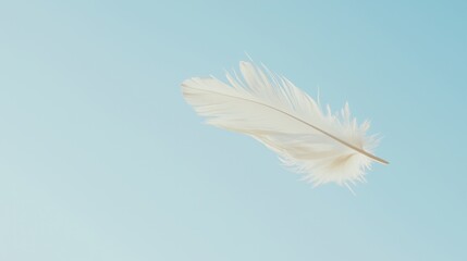 Obraz premium Floating Feather in Blue Sky