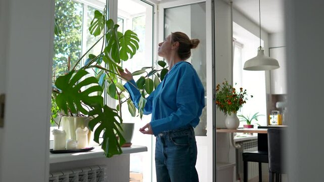 Serene middle aged woman at home, focused on caring for potted plants monstera in apartment bringing touch of nature indoors. Daily routine calm female creating tranquil, comfort in cozy living room.