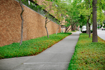 Neighborhood Greenway in the City. Located near University of Washington.