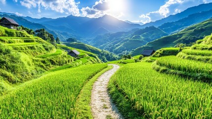 Obraz premium Winding Path Through Green Rice Terraces and Mountainous Landscape