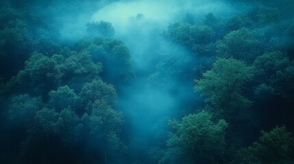 Fototapeta premium Vibrant Wildflowers Blooming in a Misty Forest at Dawn with Dew-Kissed Petals and Soft Light