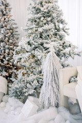 Frosted Christmas Trees and Warm Lights