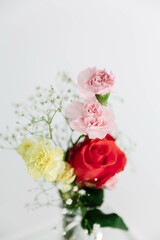 Carnation, Rose & Baby's Breath Arrangement
