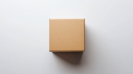 A minimalist cardboard box with no visible branding, centered on a plain white background 