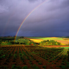 丘と虹（上富良野町）