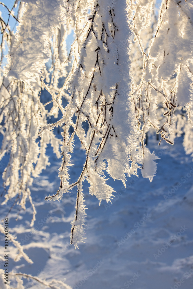 Sticker Frosty tree branches a cold winter day a cold winter day